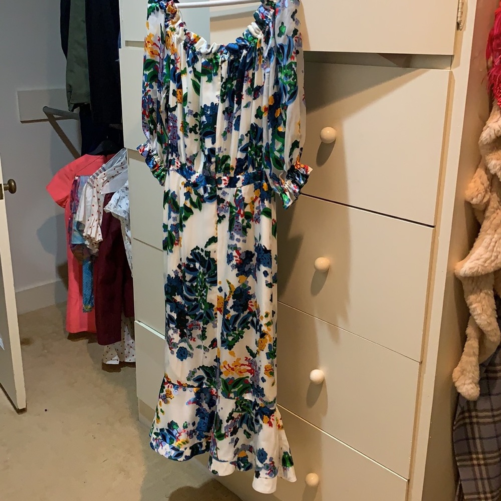 BNWT Saloni Olivia dress size 6